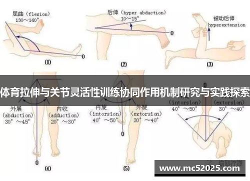 体育拉伸与关节灵活性训练协同作用机制研究与实践探索