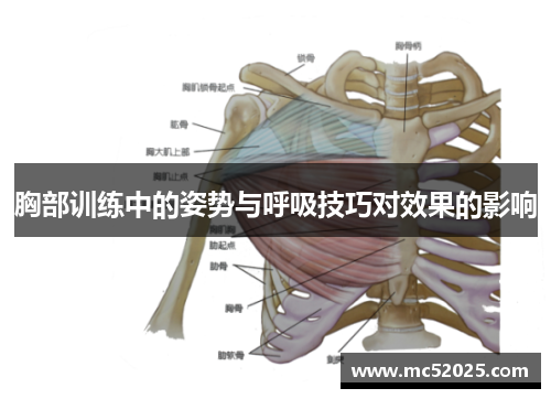 胸部训练中的姿势与呼吸技巧对效果的影响
